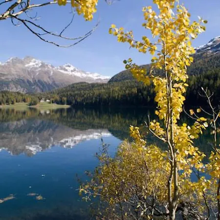 Derby 3 By Interhome * St. Moritz